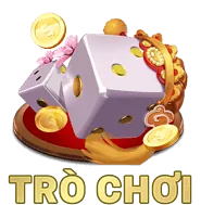 Giấy phép hoạt động